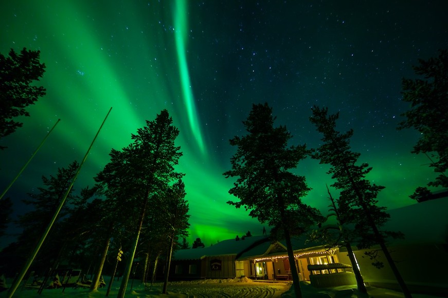 viaje a laponia muotka saariselkä